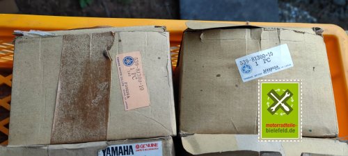 IMG_20230826_191837